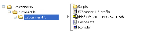 Profile Files and Directories